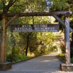 SF: Muir Woods, Sausalito, Golden Gate Bridge Private Tour - Final Thoughts