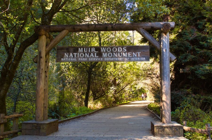 SF: Muir Woods, Sausalito, Golden Gate Bridge Private Tour - Final Thoughts