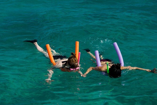 Shallow Water Snorkeling and Dolphin Watching in Key West - FAQs