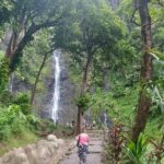 Shared 4.5h Circle Island Tour of Tahiti Nui by Lydia - Frequently Asked Questions