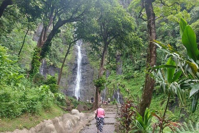 Shared 4.5h Circle Island Tour of Tahiti Nui by Lydia - Frequently Asked Questions