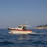 Shared capri tour ,swimming and visit of many caves - Authentic Experiences & What Travelers Love