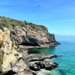 Shared Dunedin City & Otago Peninsula Scenery Day Tour up to 10 - Authentic Experiences and Personal Touches