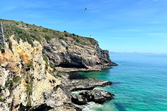 Shared Dunedin City & Otago Peninsula Scenery Day Tour up to 10 - Authentic Experiences and Personal Touches