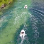 Shared Jungle Speed Boat Tour in Cancun - Exploring the Itinerary in Detail