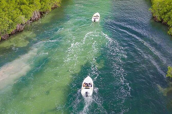 Shared Jungle Speed Boat Tour in Cancun - Exploring the Itinerary in Detail