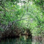 Shared Speedboat and Snorkeling Adventure in Cancun - In-Depth Review of the Shared Speedboat and Snorkeling Adventure