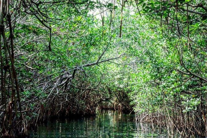 Shared Speedboat and Snorkeling Adventure in Cancun - In-Depth Review of the Shared Speedboat and Snorkeling Adventure