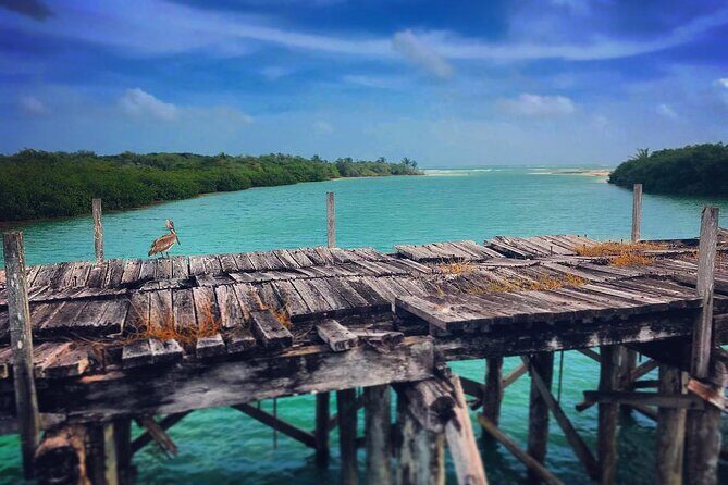 Shared Speedboat Tour: Nichupté Lagoon & Mangrove Adventure - Why You Should Consider This Tour
