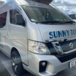 Shared Transfer from Nadi Airport Fiji to Nadi area hotels - Value Analysis: Why It’s Worth Considering