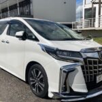 Shared Transfer from Nadi Airport to Denarau and Nadi Hotel - Detailed Itinerary & Experience Breakdown