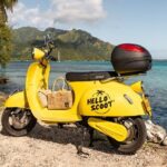 Shared Transfer : Moorea Airport (or) Pier to Hotel - What Sets It Apart