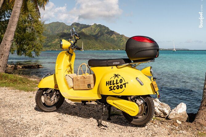 Shared Transfer : Moorea Airport (or) Pier to Hotel - What Sets It Apart