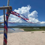 Shark Island: Tour of the largest island in Mexico - Exploring Baja California’s Hidden Gem: Shark Island