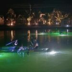 Sharkey's Glass Bottom Fish Feeding LED Night Tour in Venice, FL - Why This Tour Represents Good Value
