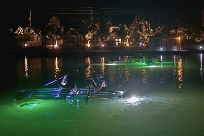 Sharkey's Glass Bottom Fish Feeding LED Night Tour in Venice, FL - Why This Tour Represents Good Value