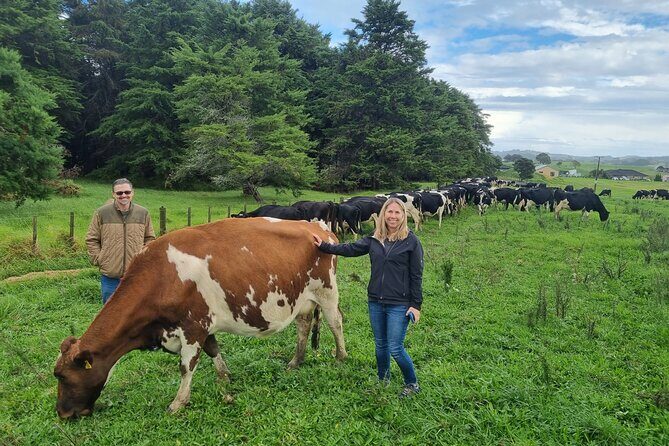 Sheep & Beef Working Farm Private Tour - Why This Tour Offers Great Value