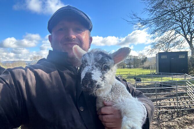 Sheepdogs in the countryside, authentic Dubliners city tour combo - Final Thoughts
