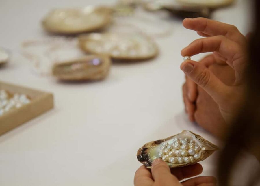Shell to Showroom - Sydney's only Pearl Farm Experience - FAQs