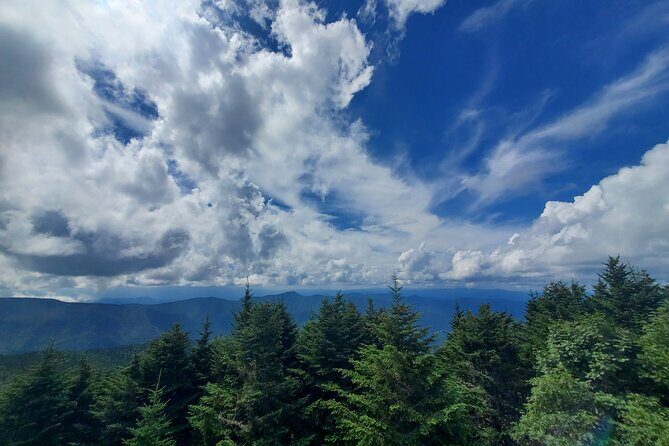 Shining Rock Guided Tour - Who Should Consider This Tour?