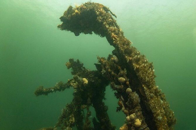 Shipwreck Hunters - What You’ll Experience: A Deep Dive into the Waters