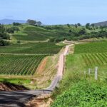 Shire Shuttle Bus's Shoalhaven Coast Wine Tour - Frequently Asked Questions