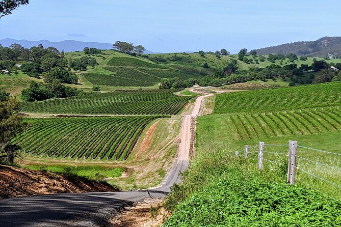 Shire Shuttle Bus's Shoalhaven Coast Wine Tour - Frequently Asked Questions