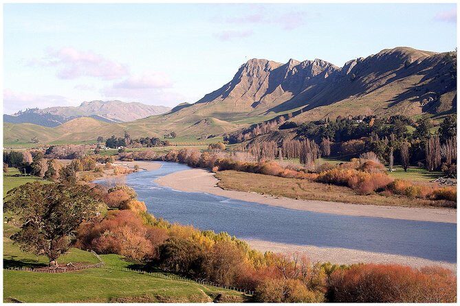 Shore Excursion: 4-Hour Discover Hawkes Bay and Napier Tour - What Travelers Say: Authentic Insights