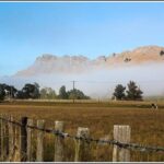 Shore Excursion: 4 Hour Premium Hawkes Bay and Napier Tour - A Deep Dive into the Napier and Hawkes Bay Experience