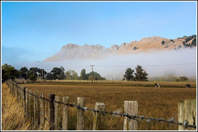 Shore Excursion: 4 Hour Premium Hawkes Bay and Napier Tour - A Deep Dive into the Napier and Hawkes Bay Experience