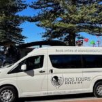 Shore Excursion: Barossa Valley Full-Day Wine Tasting Tour - An In-Depth Look at the Tour Experience