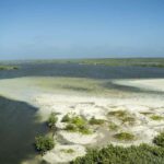 Shore Excursion: Buggy Tour at Punta Sur & Beach Visit - The Value of This Tour