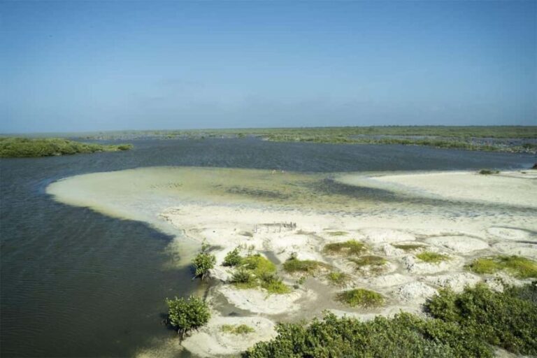 Shore Excursion: Buggy Tour at Punta Sur & Beach Visit - The Value of This Tour