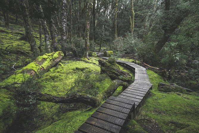 Shore Excursion - Cradle Mountain Shuttle Bus from Burnie - Who Should Consider This Tour?