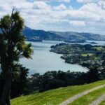 Shore Excursion: Dunedin City, Otago Peninsula, Castle Gardens & Olveston Tour - Who Should Consider This Tour?