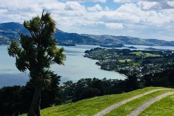Shore Excursion: Dunedin City, Otago Peninsula, Castle Gardens & Olveston Tour - Who Should Consider This Tour?