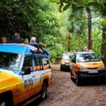 Shore Excursion - East Madeira Peaks & Santana - FAQ