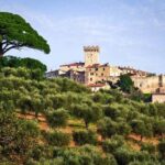 Shore excursion from Civitavecchia Port to Capalbio and the magic Tarot Garden - FAQ