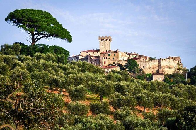 Shore excursion from Civitavecchia Port to Capalbio and the magic Tarot Garden - FAQ