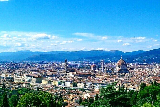 Shore Excursion from Livorno: Private Florence Tour with Michelangelo's 'David' - The Value of a Private Tour