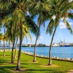 Shore Excursion from Port of Miami: City and Cruise Tour - The Experience in Detail: What to Expect