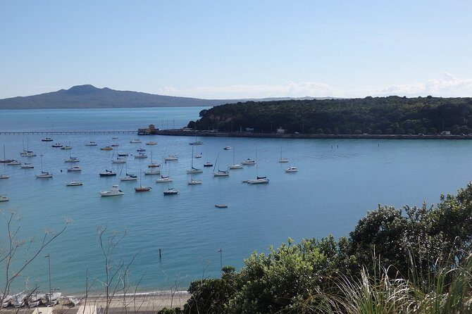 Shore Excursion: Half Day Small Group Auckland Scenic Tour - 4 HOURS - Who Will Love This Tour?