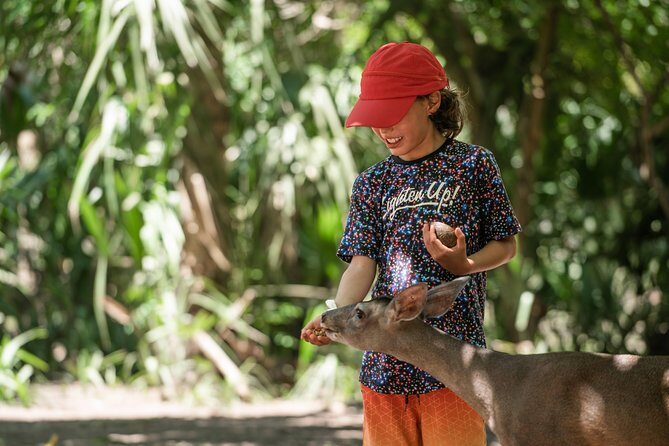 Shore Excursion Mazunte and Ventanilla Crocs & Turtles - FAQ