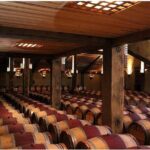 Shore Excursion: Small group Napier, Art Deco & Wineries tour - Who is This Tour Best For?