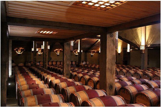 Shore Excursion: Small group Napier, Art Deco & Wineries tour - Who is This Tour Best For?