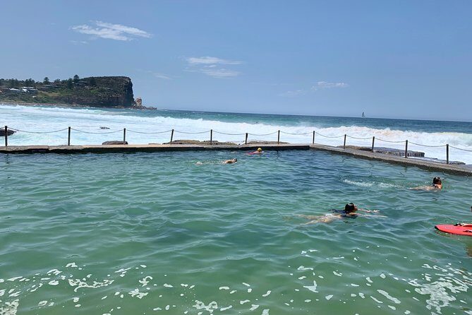 Shore Excursion: Sydney's Northern Beaches & Ku-ring-gai National Park Bus Tour - Final Thoughts