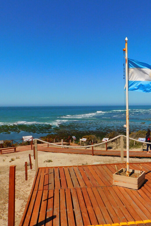 Shore Tours Peninsula Valdes Puerto Madryn Cruise Passengers - Final Thoughts