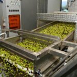 Short Tour of Olympia, an Olive Oil Press & St. Andrew Beach - Final Thoughts: Is This Tour Right for You?