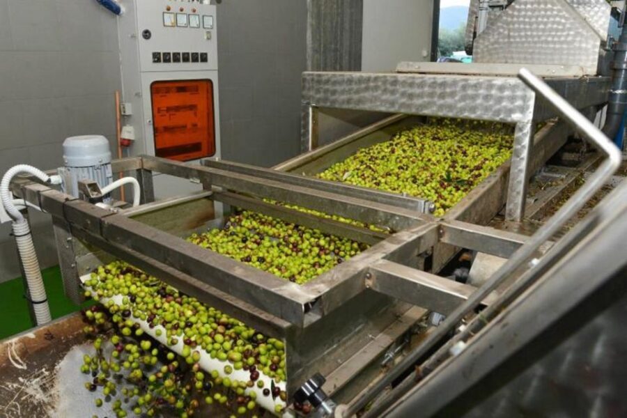 Short Tour of Olympia, an Olive Oil Press & St. Andrew Beach - Final Thoughts: Is This Tour Right for You?