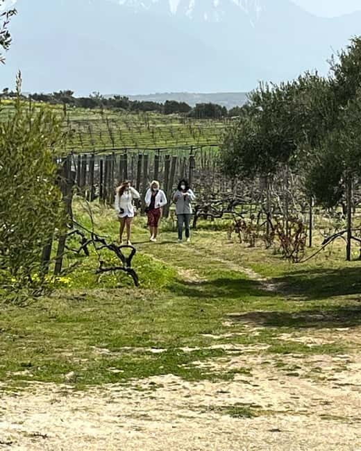 Shuttle & Wine Experience at Lyrarakis Winery - A Closer Look at the Tour Experience